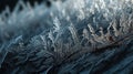 a close up view of a frosted window with a black background and a red bird sitting on top of the frosted window pane