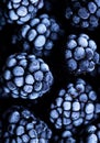 Close up view on frozen Blackberry fruits a black stone table. Food background