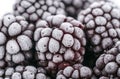 frozen Blackberry fruits on white background Royalty Free Stock Photo