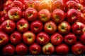 Close up view of fruits shelf in supermarket. Apple background Royalty Free Stock Photo