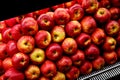 Close up view of fruits shelf in supermarket. Apple background Royalty Free Stock Photo