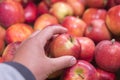 Close up view of fruits shelf in supermarket. hand taking red apples in the store. male hand taking fruit from a shelf. man holds Royalty Free Stock Photo