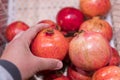 Close up view of fruits shelf in supermarket. hand taking red apples in the store. male hand taking fruit from a shelf. man holds Royalty Free Stock Photo