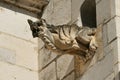 Gargoyle on the facade of the Saint-Nicolas-de-Tolentin church of the royal monastery of Brou in Bourg-en-Bresse Royalty Free Stock Photo