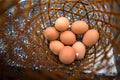 Close up view of geothermal hot spring cooked eggs in bamboo basket Royalty Free Stock Photo