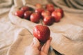 Close up view of girl holding red apple in hand. Organic fruit. Royalty Free Stock Photo