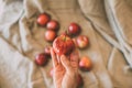 Close up view of girl holding red apple in hand. Organic fruit. Healthy eating. Royalty Free Stock Photo