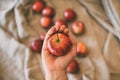 Close up view of girl holding red apple in hand. Organic fruit. Healthy eating. Royalty Free Stock Photo