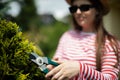 Close-up view of a girl pruning a thuja tree branch with secateurs.