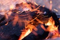 Close up view of glowing flying sparks hot fire flame Royalty Free Stock Photo