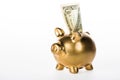 close-up view of golden piggy bank and dollar banknote