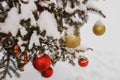 Close-up view of golden and red balls as decoration hanging on the branches of a Christmas tree and sparkling with snow Royalty Free Stock Photo