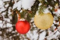 Close-up view of golden and red balls as decoration hanging on the branches of a Christmas tree and sparkling with snow Royalty Free Stock Photo