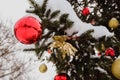 Close-up view of golden and red balls and golden flower as decoration hanging on the branches of a Christmas tree and Royalty Free Stock Photo