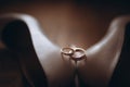 Close-up view of golden wedding rings on wooden tabletop Royalty Free Stock Photo