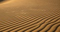 A close-up view of a golden yellow sand dune with smooth rippled texture and wavy lines creating a diagonal pattern from a low Royalty Free Stock Photo