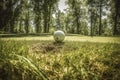 A Close-Up View of a Golf Ball Ready for Tee Off Amidst Lush Greenery. ai generative Royalty Free Stock Photo