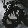 close-up of gothcore accessories like spiked collars and dark jewelry