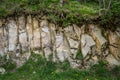 Close-up view of grass and moss on rocks at the Euganean Hills