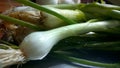 Fresh Bunching onions Royalty Free Stock Photo