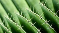 Close up view of green cactus surface. Neural network ai generated Royalty Free Stock Photo
