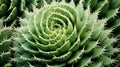 Close up view of green cactus surface. Neural network ai generated Royalty Free Stock Photo