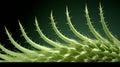 Close up view of green cactus surface. Neural network ai generated Royalty Free Stock Photo