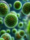 Close-up view of green cellular structures in a biological environment Royalty Free Stock Photo