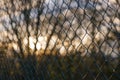 Close-up view of green metal grill fence and blur background of natural atmosphere with tree, cloud sky and sunlight. Royalty Free Stock Photo