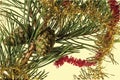 Close up view of green pine trees branch with brown cone isolated on yellow background. Christmas holidays concept. Royalty Free Stock Photo