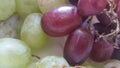 A close up view of green and purple grapes