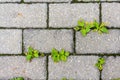 Abstract paving stones background