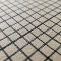 A close-up view of a grid patterned surface. The grid consists of evenly spaced black Royalty Free Stock Photo