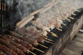 Close-up view of Grilling Chicken Meat, Kebabs and Sausages on long rectangular barbecue with smoke on the street outdoor. Royalty Free Stock Photo