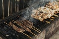 Close-up view of Grilling Chicken Meat, Kebabs and Sausages on long rectangular barbecue with smoke on the street outdoor. Royalty Free Stock Photo