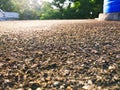 Close-up view of a ground