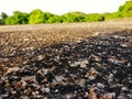 Close-up view of a ground