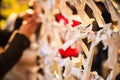 Close-up view Group of Omikuji, a fortune telling paper strip, tied on the ropes with blurred background Royalty Free Stock Photo