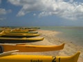 A close up view of a group of outrigger canoes on oahu