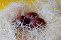 Close-up view of group of raw white chicken eggs in nest Royalty Free Stock Photo