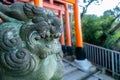 Close-up view of guardian lion stone statue in Fushimi Inari-Taisha Shinto Shrine in Kyoto, Japan. Royalty Free Stock Photo