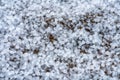 Close up view at hail stones on terrace during hailstorm from sky with sunlight