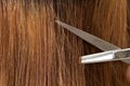 Close up view of hairdresser scissors cutting hair
