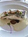 Hake piece made in the spanish vasque way, in pil-pil