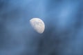 Close up view of a half bright moon Royalty Free Stock Photo