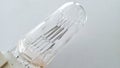 Close up view of halogen bulb contents on white background Royalty Free Stock Photo