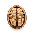A close-up view of a halved walnut showing its intricate kernel isolated on white background Royalty Free Stock Photo