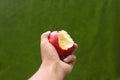 Hand holding half-eaten red apple with a green blurred background Royalty Free Stock Photo