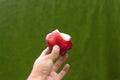 Hand holding half-eaten red apple with a green blurred background Royalty Free Stock Photo