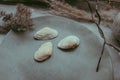 Close-up view of a handmade clay dish with sea shells Royalty Free Stock Photo